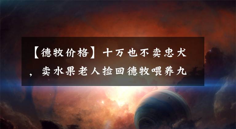 【德牧价格】十万也不卖忠犬，卖水果老人捡回德牧喂养九年，每天一起收摊回家