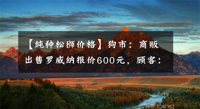 【纯种松狮价格】狗市：商贩出售罗威纳报价600元，顾客：这个价我还不如买马犬！