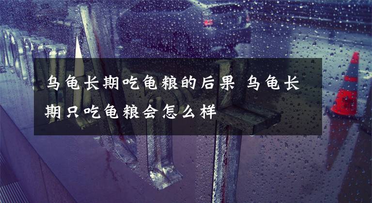 乌龟长期吃龟粮的后果 乌龟长期只吃龟粮会怎么样文章配图
