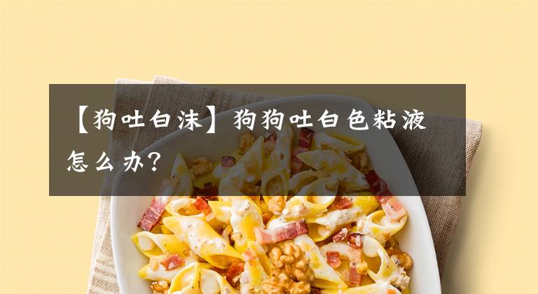 【狗吐白沫】狗狗吐白色粘液怎么办？