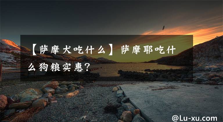 【萨摩犬吃什么】萨摩耶吃什么狗粮实惠？