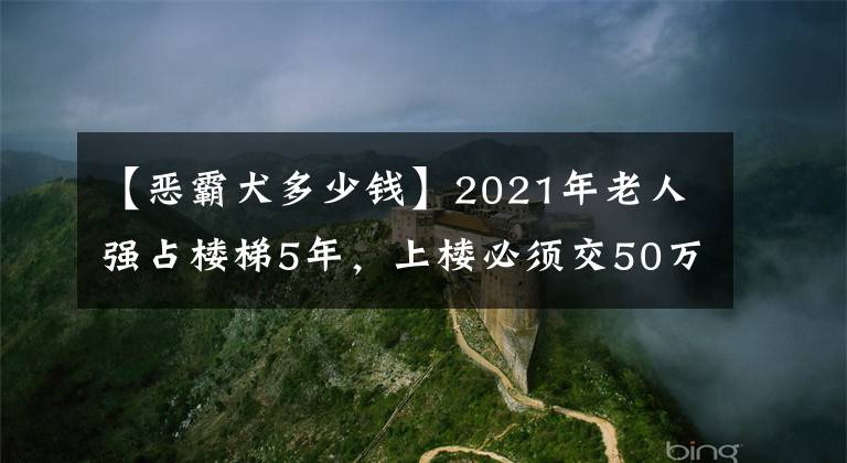 【恶霸犬多少钱】2021年老人强占楼梯5年，上楼必须交50万过路费，法院来了都没用