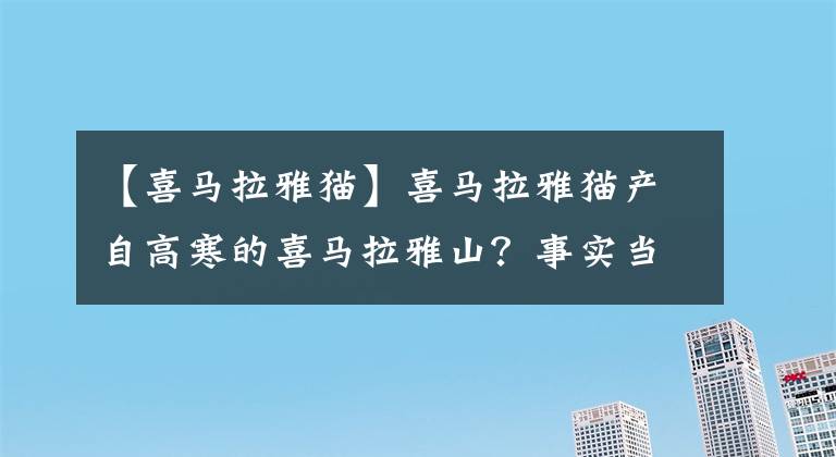 【喜马拉雅猫】喜马拉雅猫产自高寒的喜马拉雅山？事实当真如此？