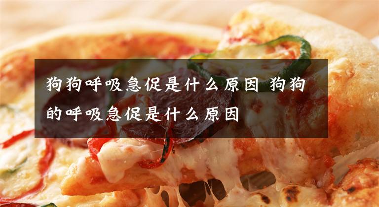 狗狗呼吸急促是什么原因 狗狗的呼吸急促是什么原因文章配图