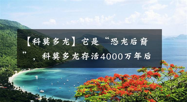 【科莫多龙】它是“恐龙后裔”，科莫多龙存活4000万年后终顶不住，仅剩3000只