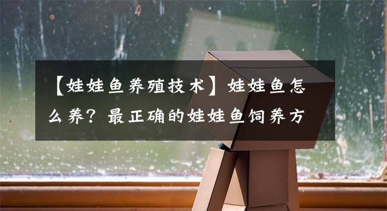 【娃娃鱼养殖技术】娃娃鱼怎么养？最正确的娃娃鱼饲养方法