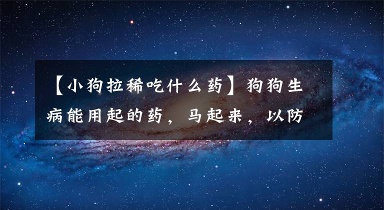 【小狗拉稀吃什么药】狗狗生病能用起的药，马起来，以防万一