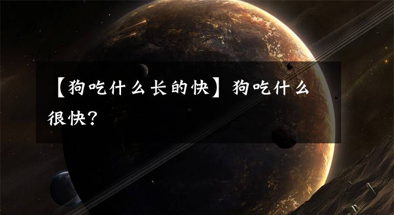 【狗吃什么长的快】狗吃什么很快？