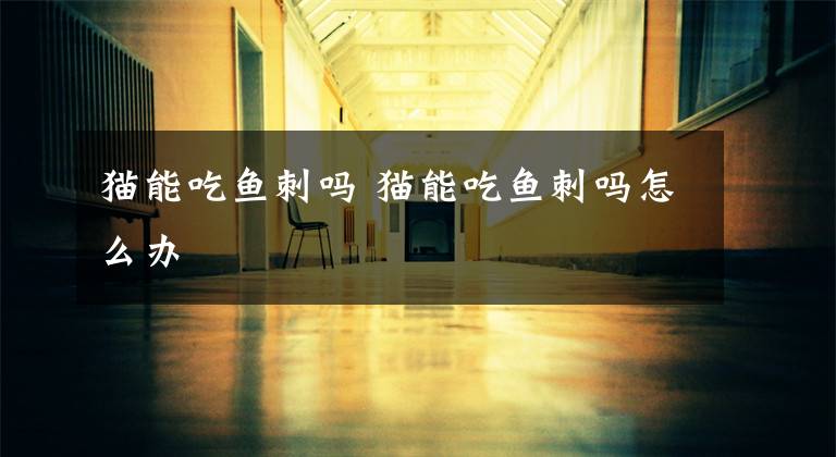 猫能吃鱼刺吗 猫能吃鱼刺吗怎么办文章配图