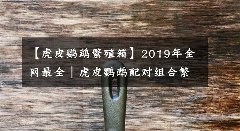 【虎皮鹦鹉繁殖箱】2019年全网最全｜虎皮鹦鹉配对组合繁殖表【收藏】