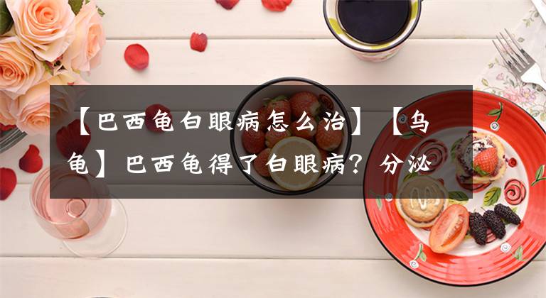 【巴西龟白眼病怎么治】【乌龟】巴西龟得了白眼病？分泌物怎么取出来！