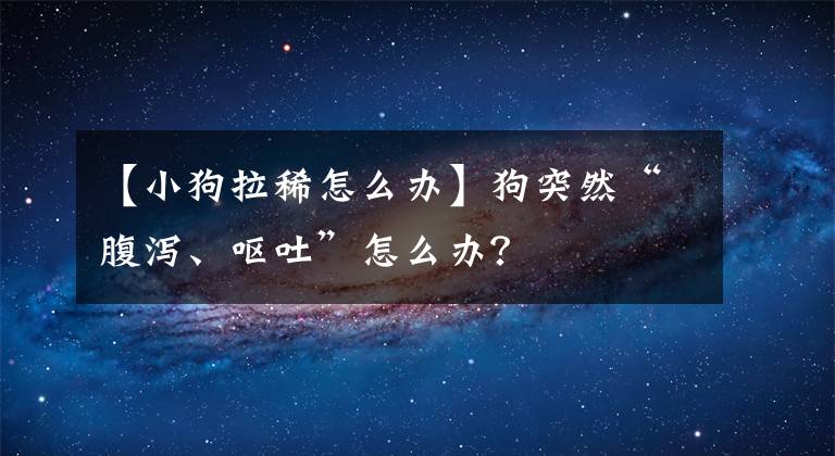 【小狗拉稀怎么办】狗突然“腹泻、呕吐”怎么办？