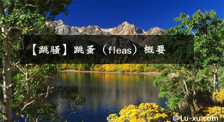 【跳骚】跳蚤（fleas）概要