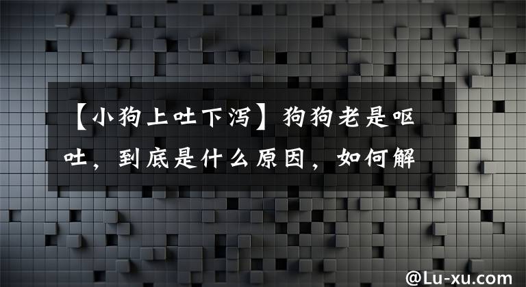 【小狗上吐下泻】狗狗老是呕吐，到底是什么原因，如何解决呢？