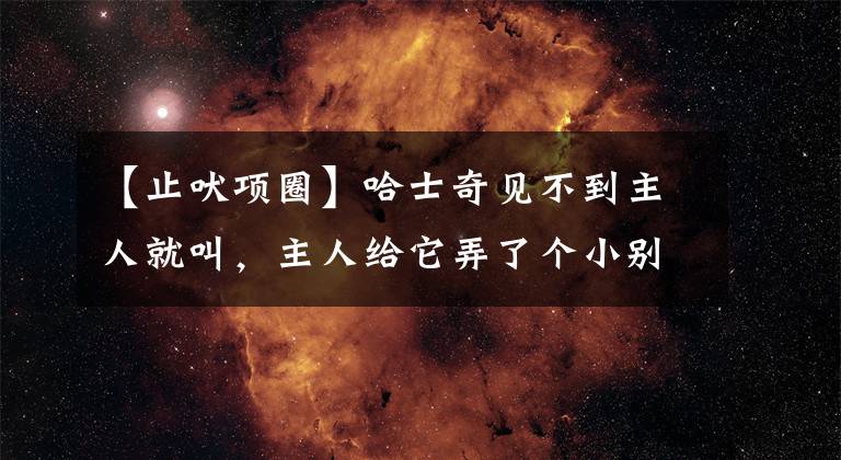 【止吠项圈】哈士奇见不到主人就叫，主人给它弄了个小别墅，它竟然从别墅逃跑