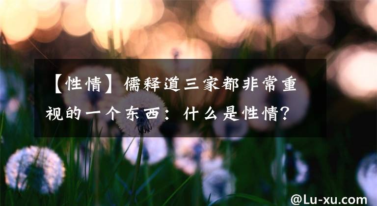 【性情】儒释道三家都非常重视的一个东西：什么是性情？