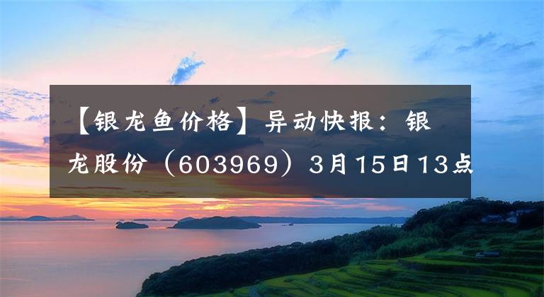 【银龙鱼价格】异动快报：银龙股份（603969）3月15日13点31分封跌停板