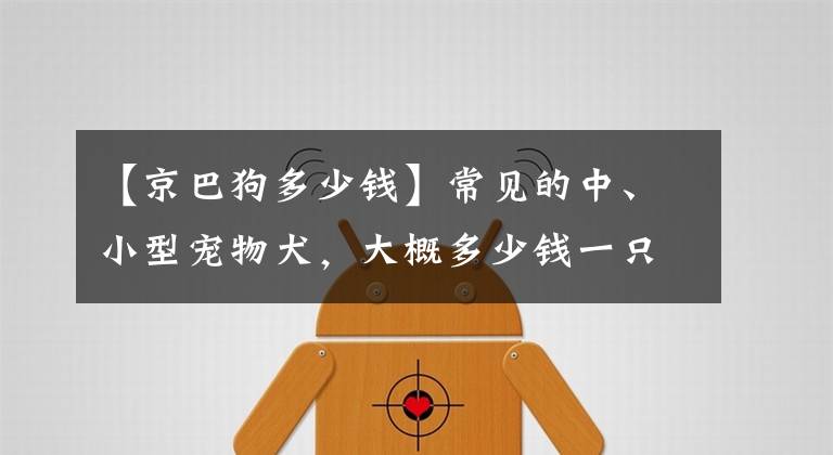 【京巴狗多少钱】常见的中、小型宠物犬，大概多少钱一只？