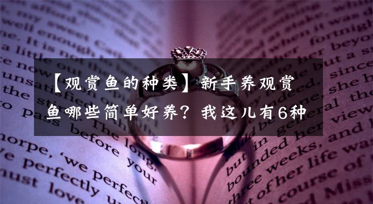 【观赏鱼的种类】新手养观赏鱼哪些简单好养？我这儿有6种，其余你补充