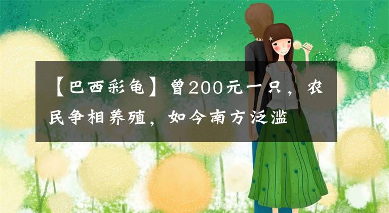 【巴西彩龟】曾200元一只，农民争相养殖，如今南方泛滥