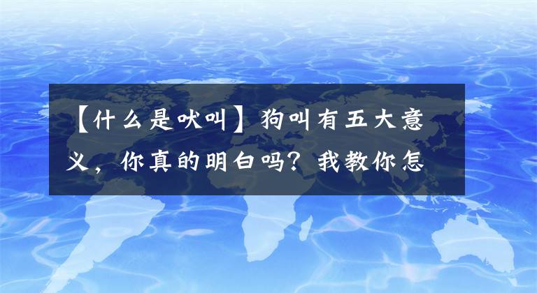 【什么是吠叫】狗叫有五大意义，你真的明白吗？我教你怎么读狗吠。