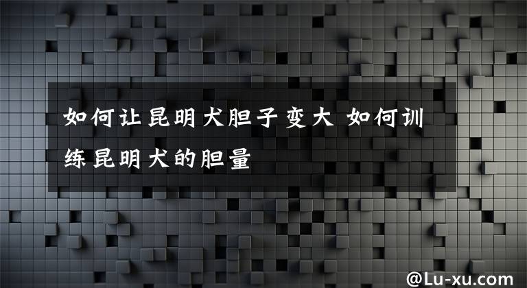 如何让昆明犬胆子变大 如何训练昆明犬的胆量文章配图