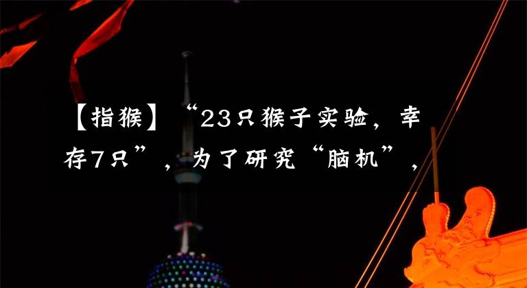 【指猴】“23只猴子实验，幸存7只”，为了研究“脑机”，马斯克旗下公司被指虐猴