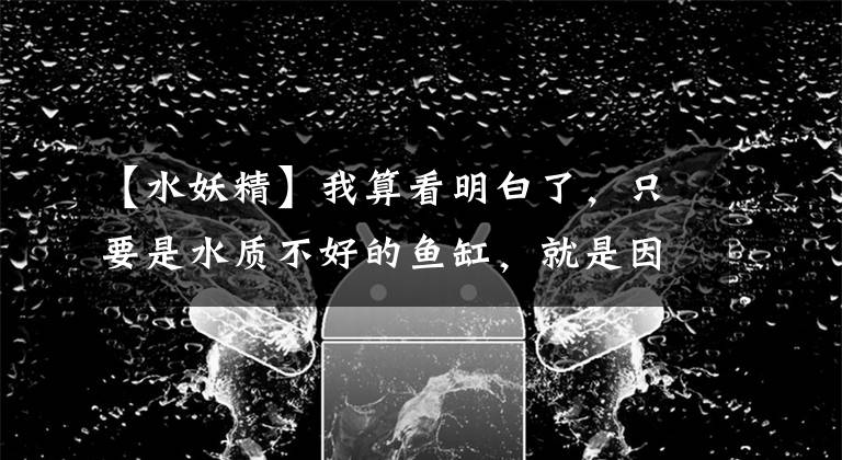 【水妖精】我算看明白了，只要是水质不好的鱼缸，就是因为下列这些原因