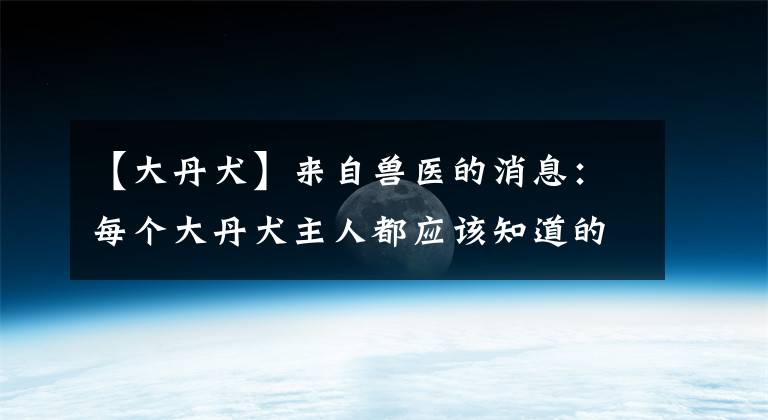 【大丹犬】来自兽医的消息：每个大丹犬主人都应该知道的3件事