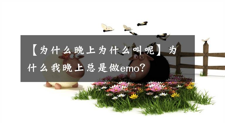 【为什么晚上为什么叫呢】为什么我晚上总是做emo？