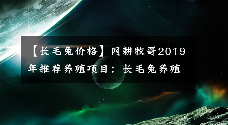 【长毛兔价格】网耕牧哥2019年推荐养殖项目：长毛兔养殖分析