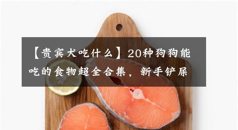 【贵宾犬吃什么】20种狗狗能吃的食物超全合集，新手铲屎官必备