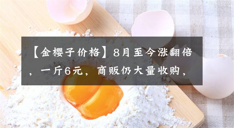 【金樱子价格】8月至今涨翻倍，一斤6元，商贩仍大量收购，农民：赚大了