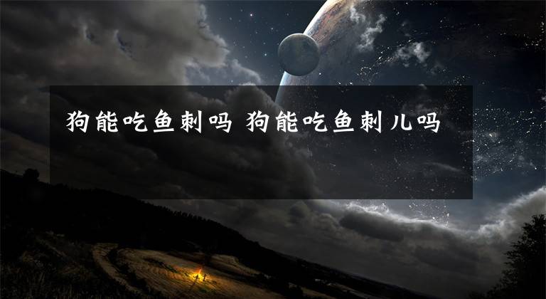狗能吃鱼刺吗 狗能吃鱼刺儿吗文章配图