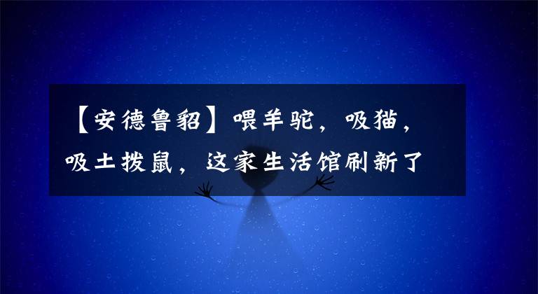 【安德鲁貂】喂羊驼，吸猫，吸土拨鼠，这家生活馆刷新了我对宠物的认知