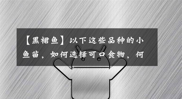 【黑裙鱼】以下这些品种的小鱼苗，如何选择可口食物，何时开始更换食物？