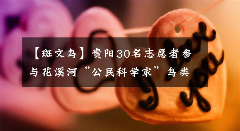 【斑文鸟】贵阳30名志愿者参与花溪河“公民科学家”鸟类调查文章配图