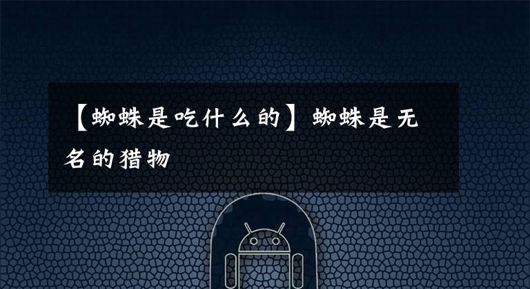 【蜘蛛是吃什么的】蜘蛛是无名的猎物