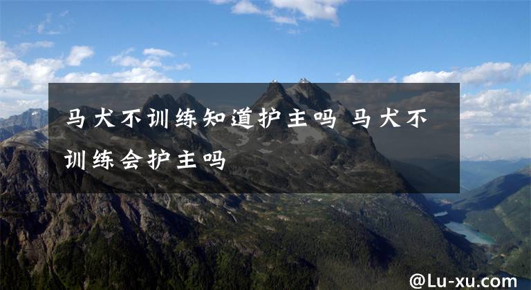 马犬不训练知道护主吗 马犬不训练会护主吗