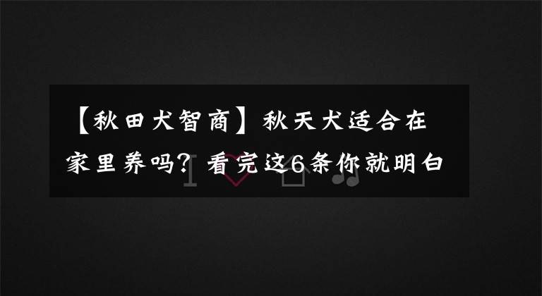 【秋田犬智商】秋天犬适合在家里养吗？看完这6条你就明白该不该养秋田犬