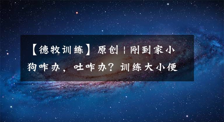 【德牧训练】原创 | 刚到家小狗咋办，吐咋办？训练大小便