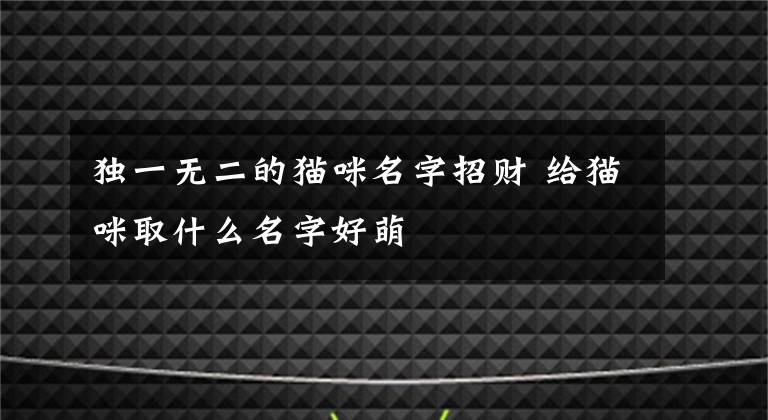 独一无二的猫咪名字招财 给猫咪取什么名字好萌