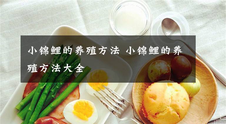 小锦鲤的养殖方法 小锦鲤的养殖方法大全文章配图
