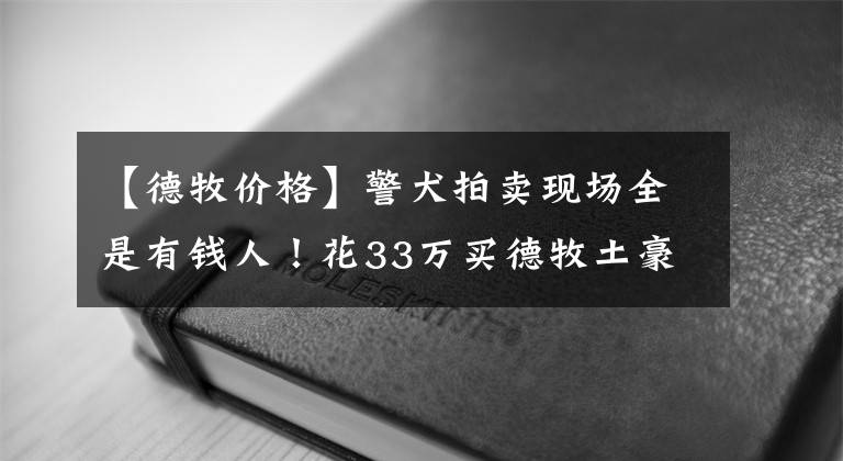 【德牧价格】警犬拍卖现场全是有钱人！花33万买德牧土豪：给国家做贡献