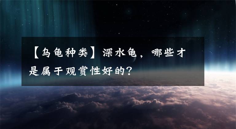 【乌龟种类】深水龟，哪些才是属于观赏性好的？