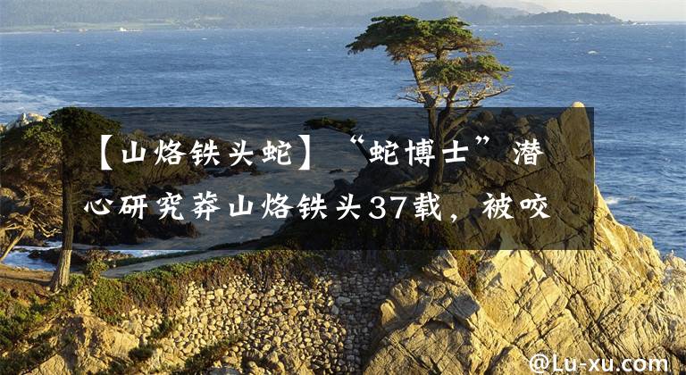 【山烙铁头蛇】“蛇博士”潜心研究莽山烙铁头37载，被咬9次九死一生，助农致富