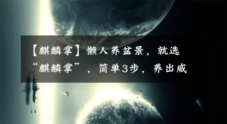 【麒麟掌】懒人养盆景，就选“麒麟掌”，简单3步，养出威武霸气的麒麟掌