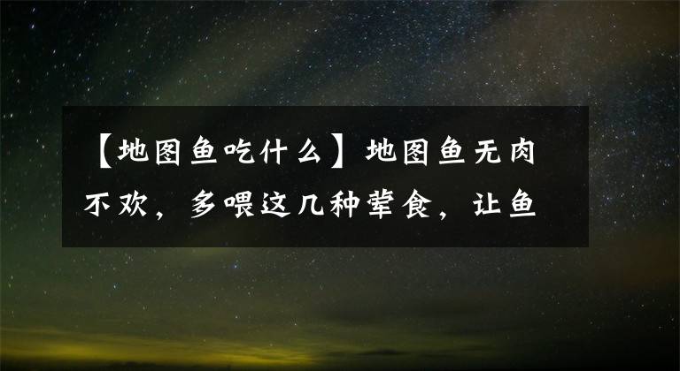 【地图鱼吃什么】地图鱼无肉不欢，多喂这几种荤食，让鱼蹭蹭长