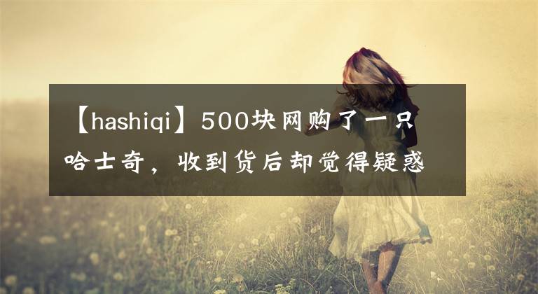 【hashiqi】500块网购了一只哈士奇，收到货后却觉得疑惑：这是啥品种啊？