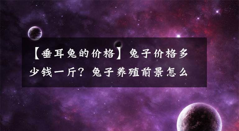 【垂耳兔的价格】兔子价格多少钱一斤？兔子养殖前景怎么样？